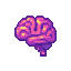 brain